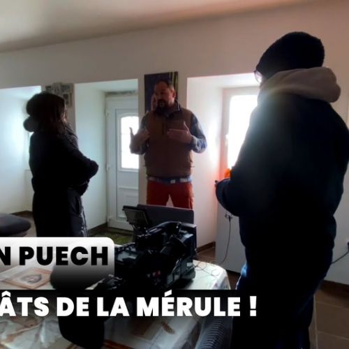 Dégâts de champignons lignivores ! Que faire ?