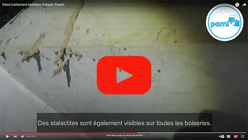 termites découvert à Mauriac dans le Cantal, chantier effectué par Yohann Puech de la Pami.